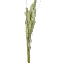 Kunstblume -Wild Barley- Stiel 71cm grün