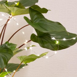 Lichterstrang -Plants- 60-LED Batterie-Timer 80cm