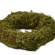 Kranz -Simple- Moos 10cm grün
