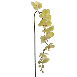 Stiel -Orchidee Large- Kunstblume 140cm grün