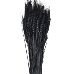 Bund -Gerste- Trockenblumen 50cm schwarz