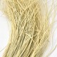 Bund -Curly Gras- Trockenblumen 60cm bleached