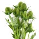 Kunstblume -Sea Holly- 68cm grün