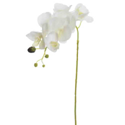 Stiel -Orchide W7- Kunstblume 80cm creme