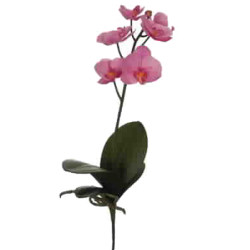 Stiel -Orchid W4- Kunstblume 47cm lavender