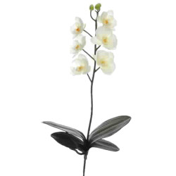 Kunstblume -Orchidee- Stiel 47cm creme