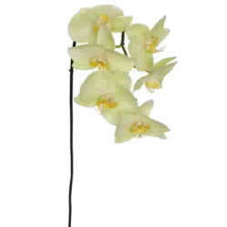 Stiel -Orchid Phalaenopsis- Kunstblume 87cm grün