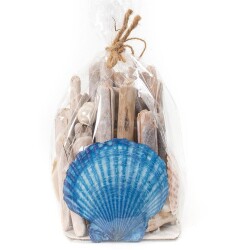 Muscheln im Beutel Deko-Set 12x11cm natur-blau