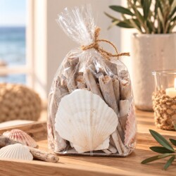 Muscheln im Beutel Deko-Set 12x11cm natur-weiss