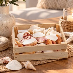 Muscheln Holzbox 580g Deko-Set 18x5cm natur-weiss