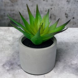 Kunstpflanze -Sukkulente- Betontopf 13x8cm grün