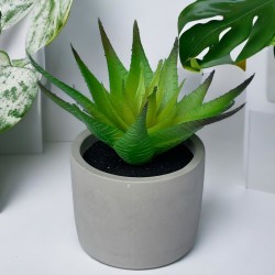 Kunstpflanze -Sukkulente- Betontopf 13x8cm grün