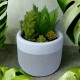Kunstpflanze -Sukkulente- Betontopf 13x9cm grün