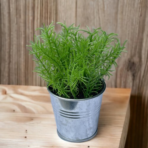 Kunstpflanze -Sukkulente Metalleimer- 14x8cm grün