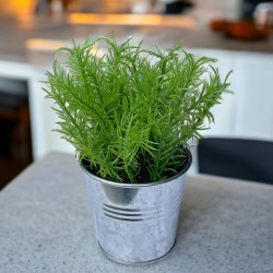 Kunstpflanze -Sukkulente- Metalleimer 14cm grün