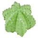 Kaktus Floral Deko-Objekt Resin 8cm grün