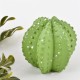 Kaktus Floral Deko-Objekt Resin 6cm grün