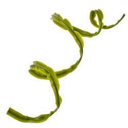 Girlande -Sling- Kunstpflanze 100x1cm grün