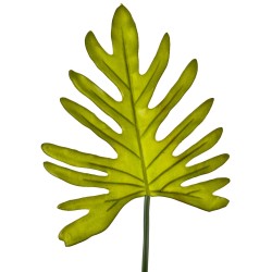 Stiel -Fingerus Blatt- Kunstblume 78cm grün