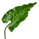 Kunstblume -Pfeilus Blatt- Stiel 80cm grün