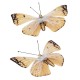 Schmetterlinge 2er-Set Deko 8x5cm gelb
