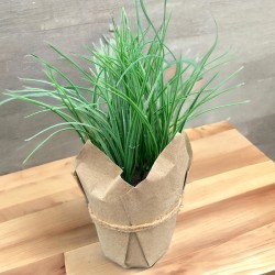 Kunstpflanze -Gräser- Papiertopf 30cm grün