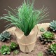 Kunstpflanze -Gräser- Papiertopf 30cm grün