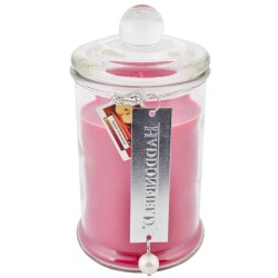 Duftkerze -Basic L- 520g Apple-Cinnamon