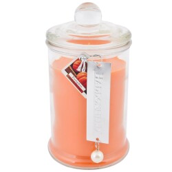 Duftkerze -Basic L- 520g Pumpkin