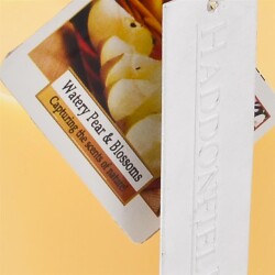 Duftkerze -Basic M- 235g Watery-Pear