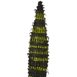 Kunstblume -Paradiso- 115cm grün
