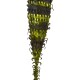 Kunstblume -Paradiso- 115cm grün