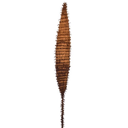 Kunstblume -Paradiso- 100cm braun