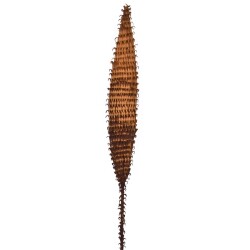 Kunstblume -Paradiso- 100cm braun