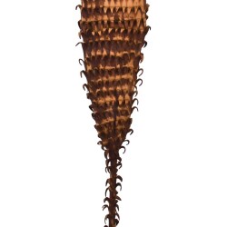 Kunstblume -Paradiso- 100cm braun