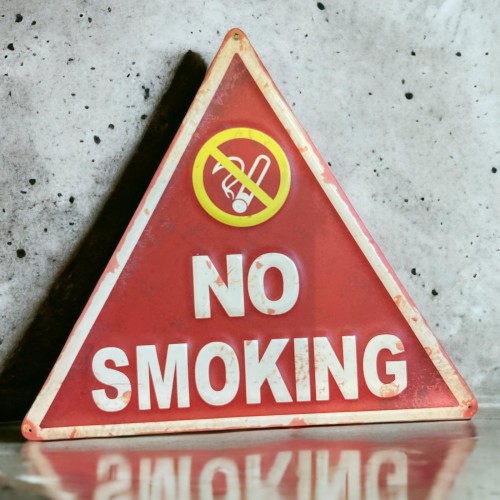 Blechschild -No Smoking- 35x40cm bunt