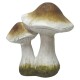 Pilz -Ivy- Resin 14cm braun
