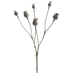 Kunstblume -Poppy Fruit- 65cm grün