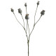 Kunstblume -Poppy Fruit- 65cm grün