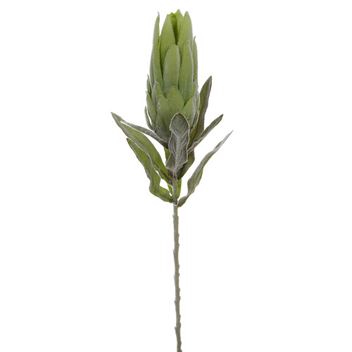 Kunstblume -Protea- 69cm grün