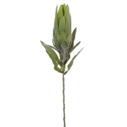 Kunstblume -Protea- 69cm grün