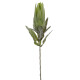 Kunstblume -Protea- 69cm grün