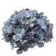 Deko -Hydrangea- Kunststoff 12x20cm blau