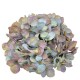 Deko -Hydrangea- Kunststoff 12x20cm hellblau