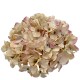 Deko -Hydrangea- Kunststoff 12x20cm vanille