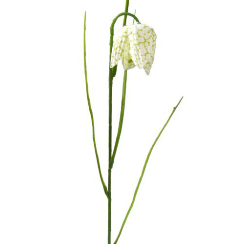 Kunstblume -Schachblume- 36cm creme
