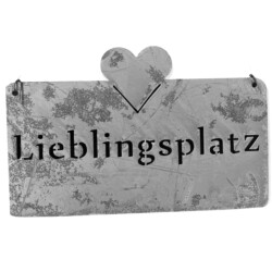 Schild -Lieblingsplatz- Metall 25x15cm silber