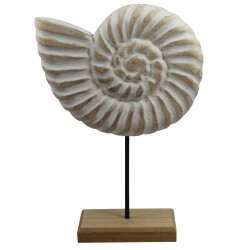 Muschel Deko Holz 30x20cm weiss-natur