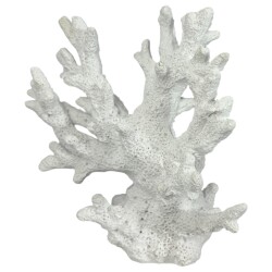 Koralle Deko Polyresin 16x14cm weiss