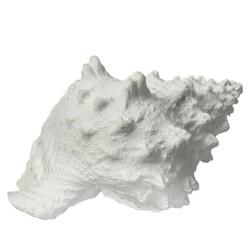 Muschel Deko Polyresin 7x14cm weiss